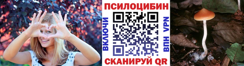 что такое наркотик  гидра вход  Галлюциногенные грибы ЛСД  Ессентуки 